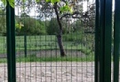cкидки до 25% на 3d-ограждения собственного производства!  акция завершена.