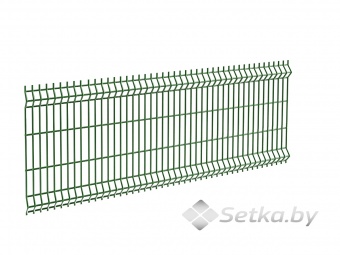 панель 3d оцинкованная с полимерным покрытием 1,0х3,0 м , 4 мм., ral 6005