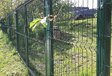  3D-ЗАБОР! ЧЕМ БОЛЬШЕ ЗАКАЗ, ТЕМ БОЛЬШЕ ДОПОЛНИТЕЛЬНАЯ СКИДКА!  5%, 7%, 10%!