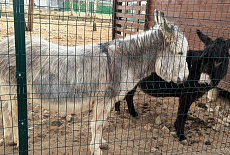 Какие вопросы нам часто задают клиенты о 3D-ограждениях? 